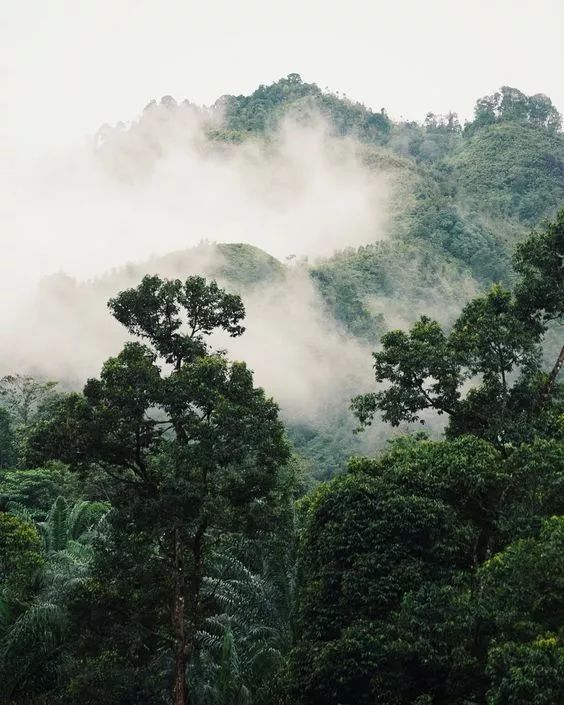 The Best Places to Visit in Malaysia
