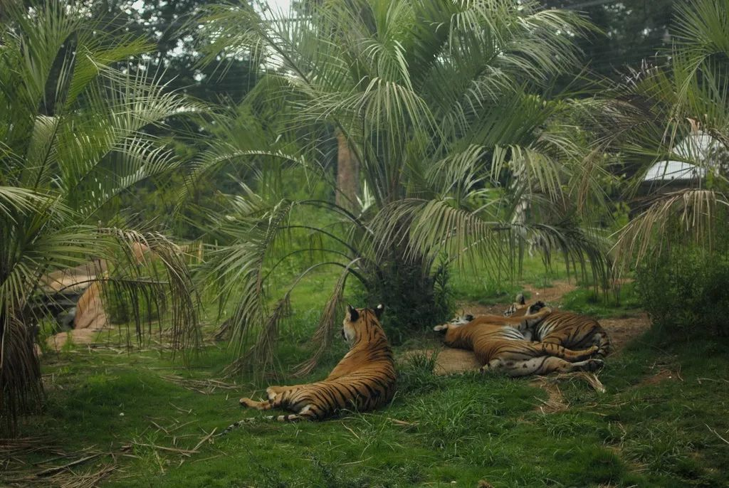 The Best Places to Visit in Malaysia