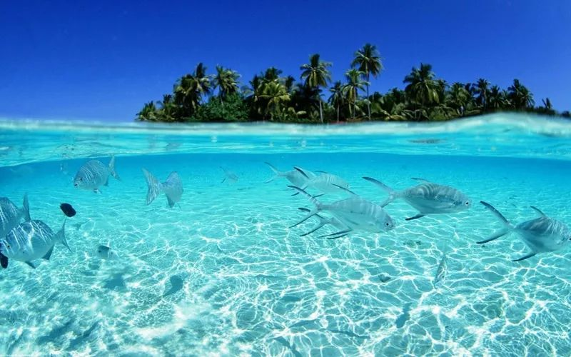 The Best Places to Visit in Malaysia