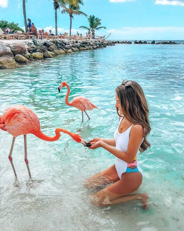 Aruba,The Ultimate Guide to the Flamingo Island (Plus Beaches, Shipwrecks & More!)