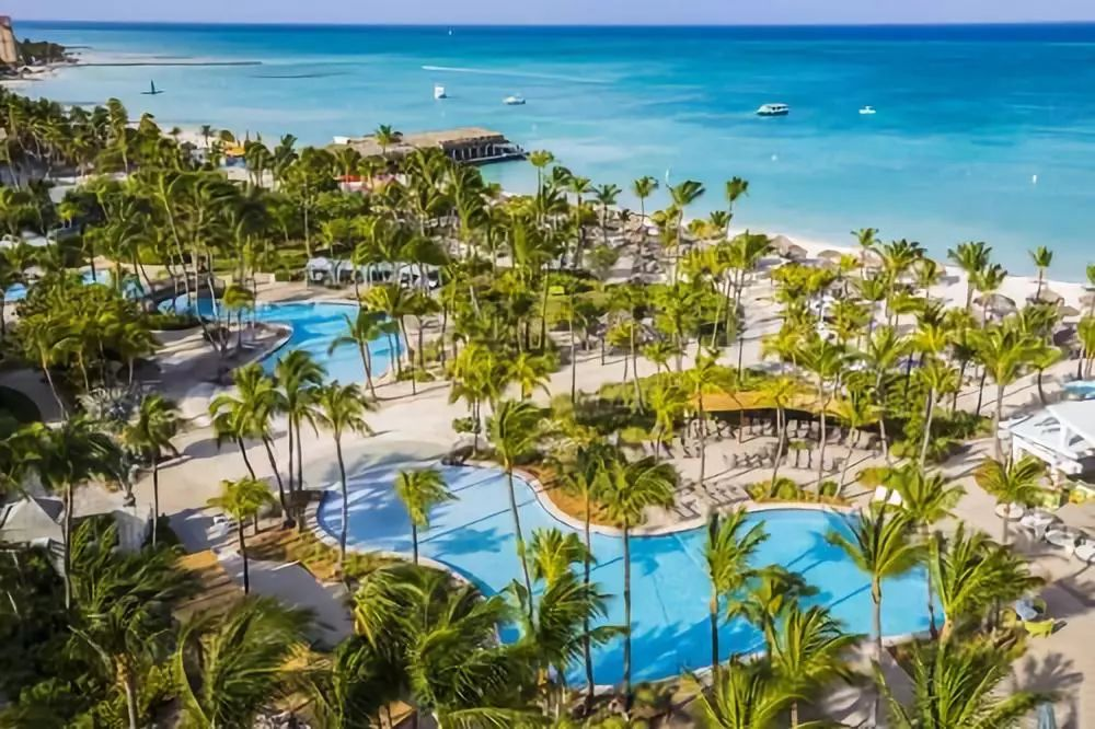 Aruba,The Ultimate Guide to the Flamingo Island (Plus Beaches, Shipwrecks & More!)