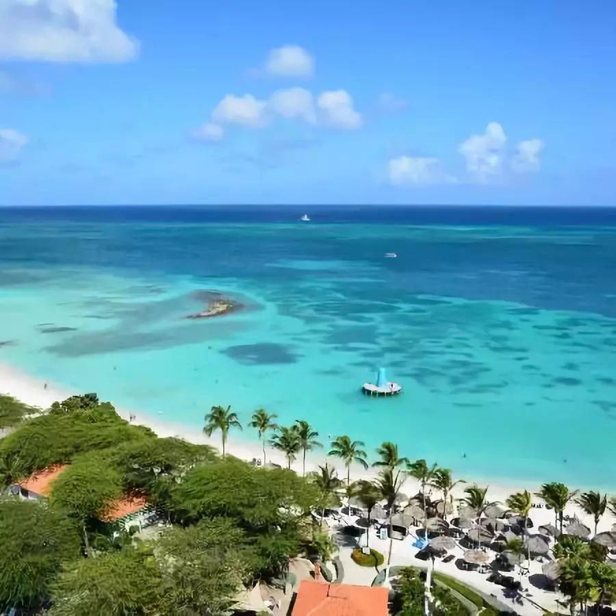 Aruba,The Ultimate Guide to the Flamingo Island (Plus Beaches, Shipwrecks & More!)