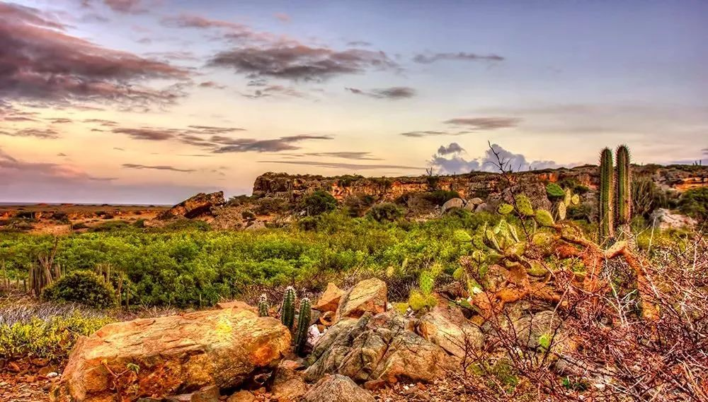 Aruba,The Ultimate Guide to the Flamingo Island (Plus Beaches, Shipwrecks & More!)