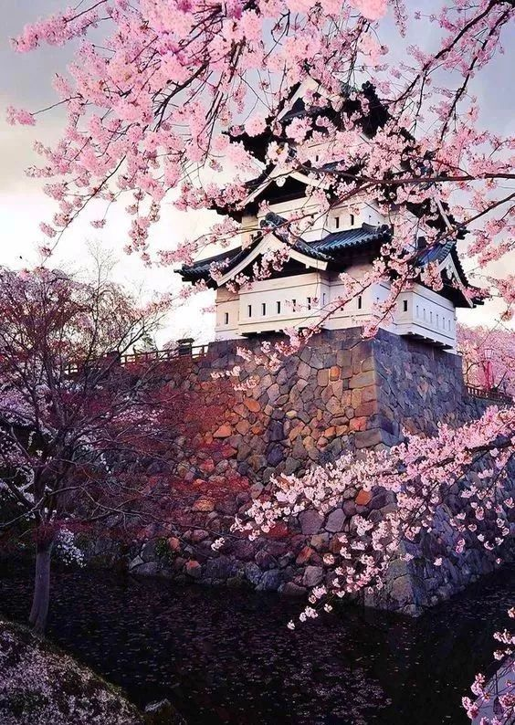 Top 10 Best Cities for Solo Travel: Safe, Exciting, and Unforgettable