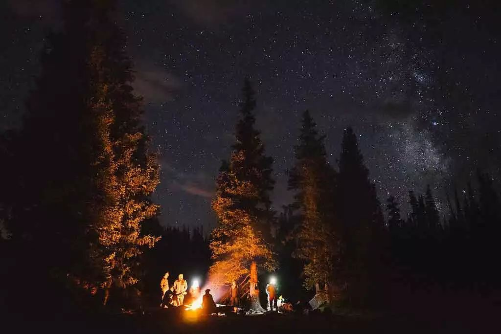 Top 10 Luxurious Wilderness Hotels for an Unforgettable Escape