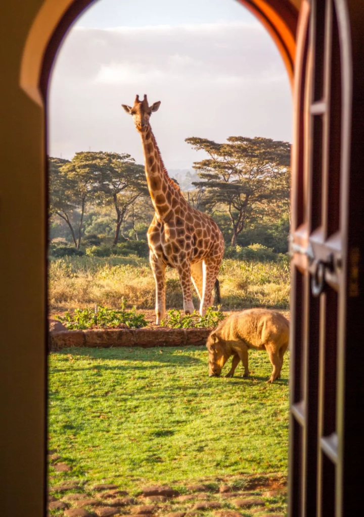 Top 10 Luxurious Wilderness Hotels for an Unforgettable Escape