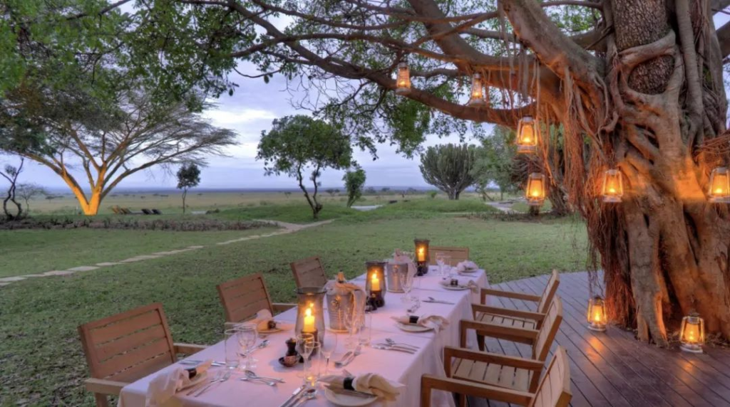Top 10 Luxurious Wilderness Hotels for an Unforgettable Escape