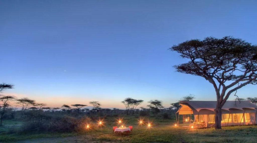 Top 10 Luxurious Wilderness Hotels for an Unforgettable Escape