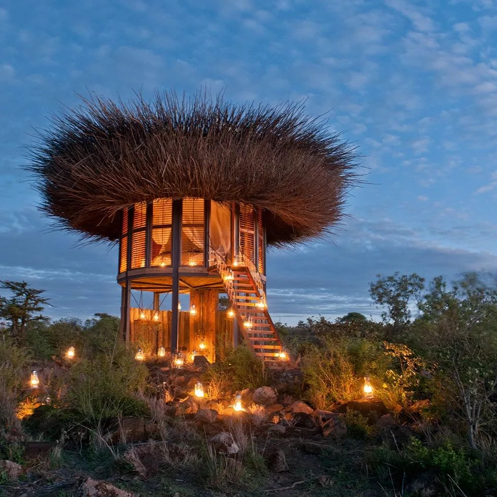 Top 10 Luxurious Wilderness Hotels for an Unforgettable Escape