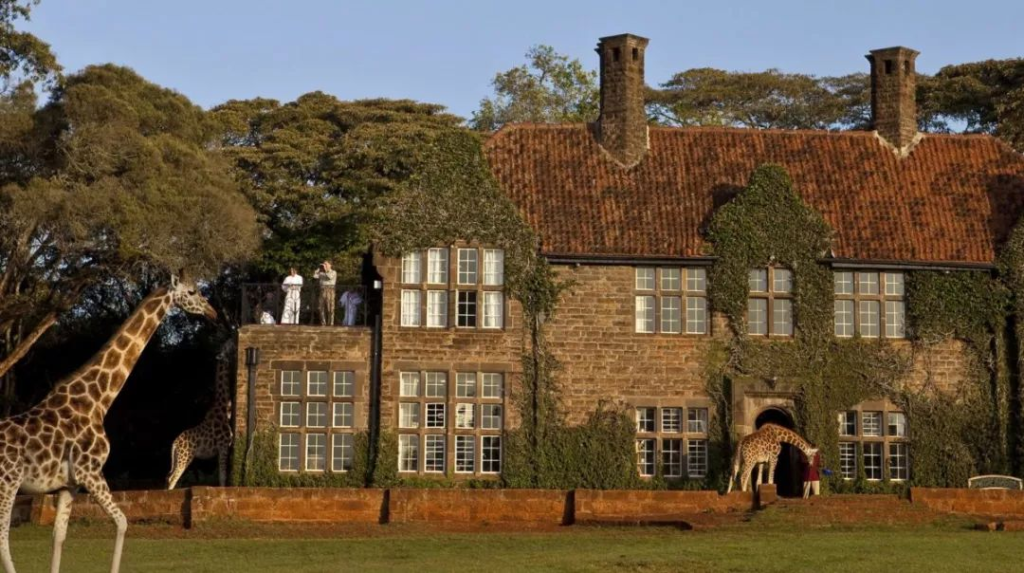 Top 10 Luxurious Wilderness Hotels for an Unforgettable Escape