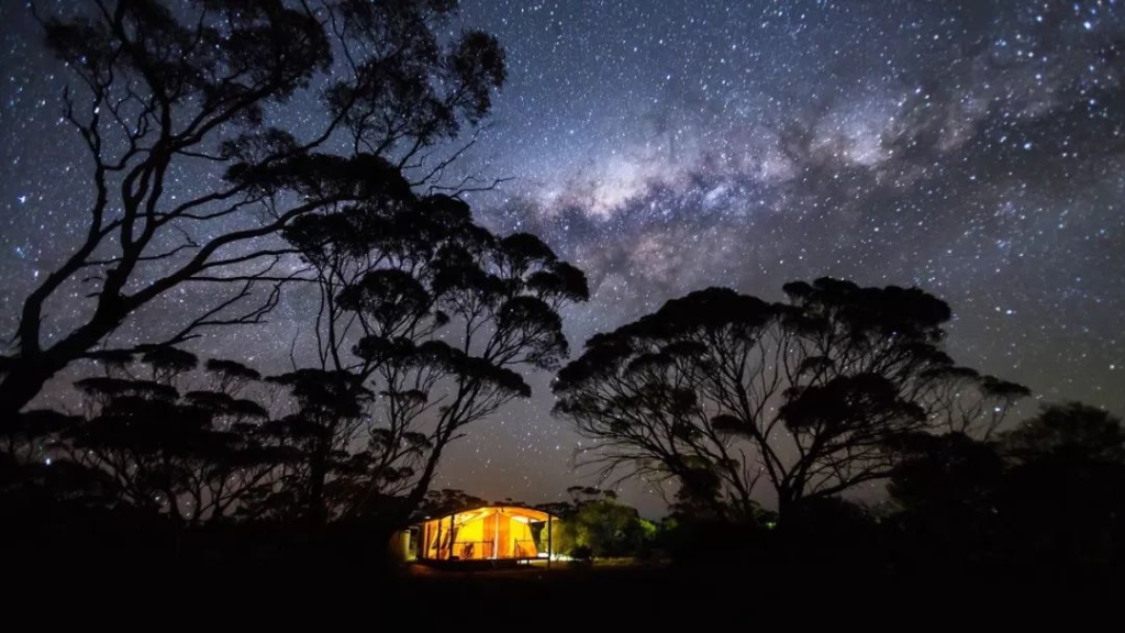 Top 10 Luxurious Wilderness Hotels for an Unforgettable Escape