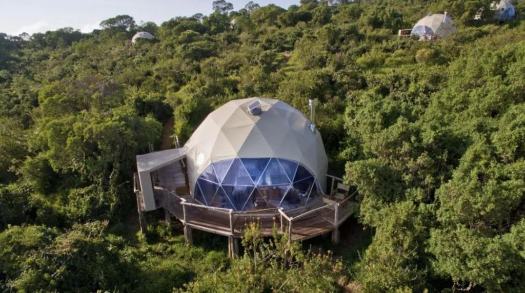 Top 10 Luxurious Wilderness Hotels for an Unforgettable Escape