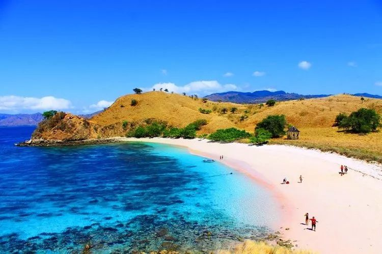 The World's 3 Most Incredible Pink Sand Beaches: A Guide to Rosy Shores