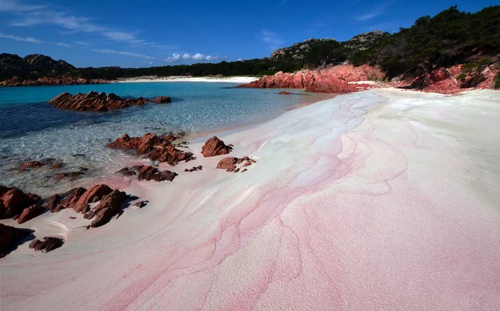 The World's 3 Most Incredible Pink Sand Beaches: A Guide to Rosy Shores