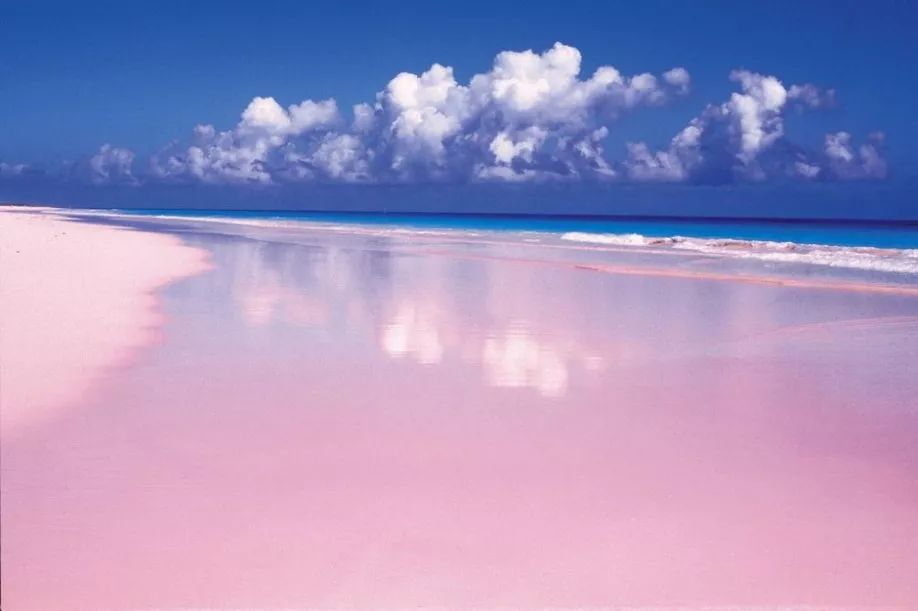 The World's 3 Most Incredible Pink Sand Beaches: A Guide to Rosy Shores