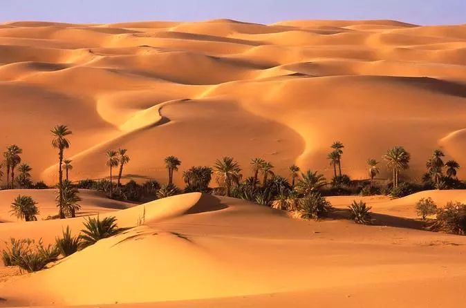 Abu Dhabi: A Captivating Blend of Desert and Sea