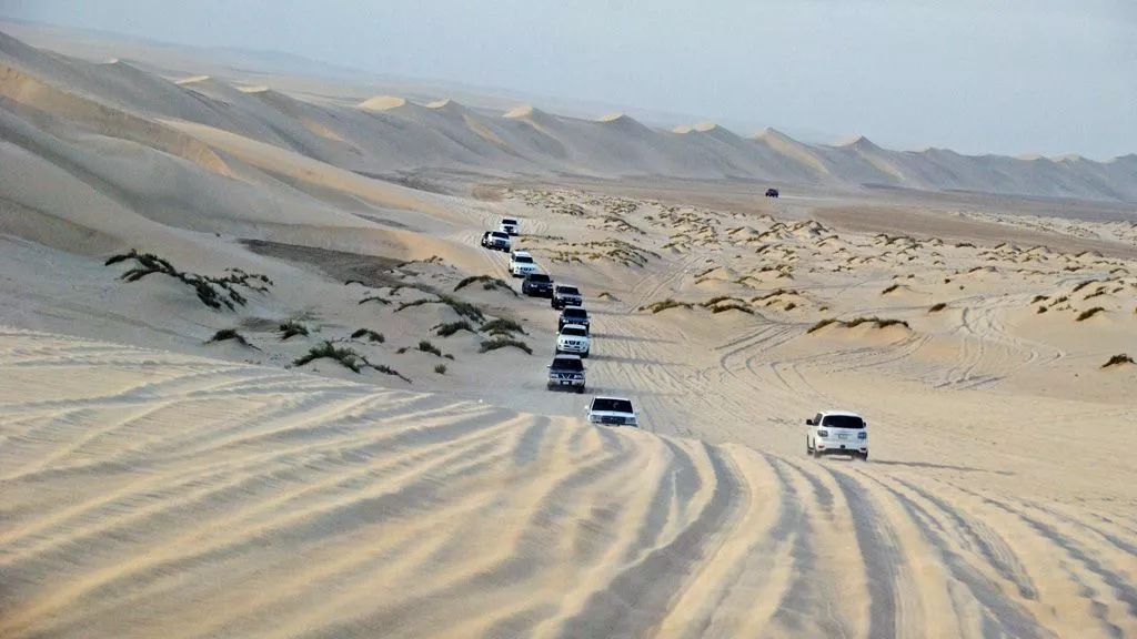 Qatar: Where Desert Meets the Sea - A Guide to the Richest Country in the World