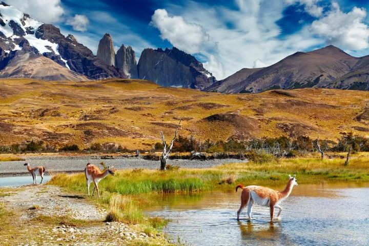 Chile: A Land of Adventure - Top 10 Must-See Spots in and Around Torres del Paine