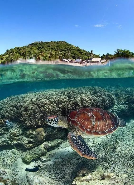 10 Idyllic Islands for the Ultimate Summer Escape