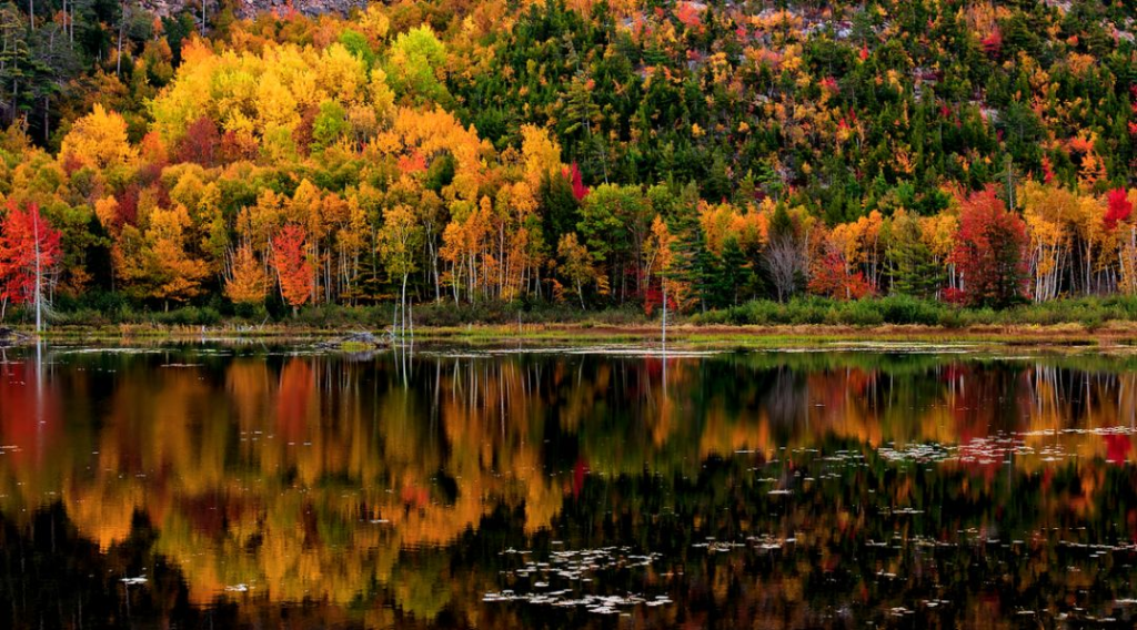 America's Top 10 National Parks: A Guide to the Most Popular Natural Wonders