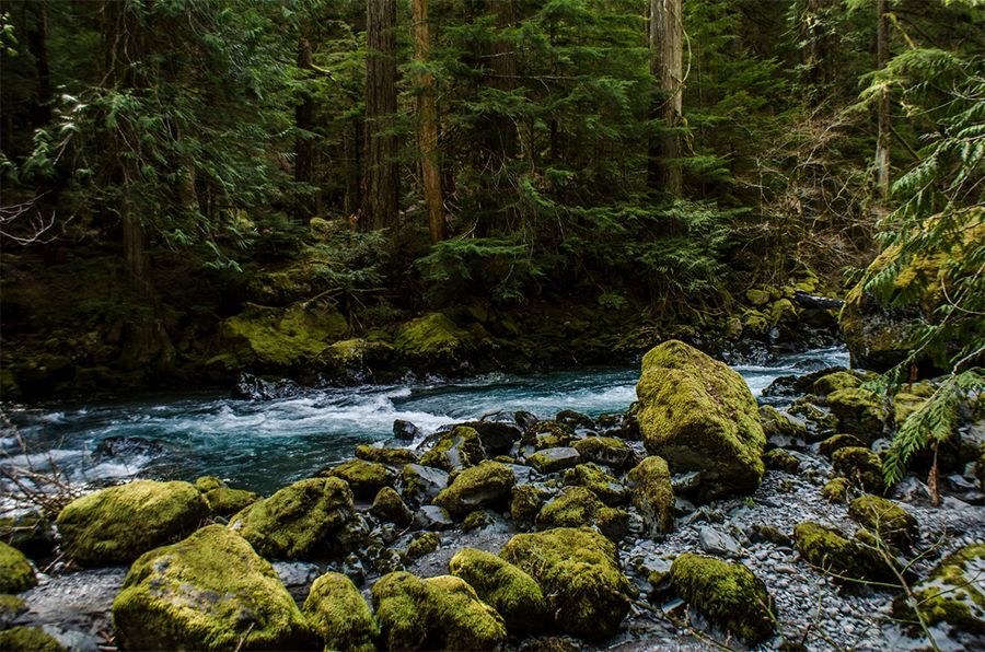 America's Top 10 National Parks: A Guide to the Most Popular Natural Wonders