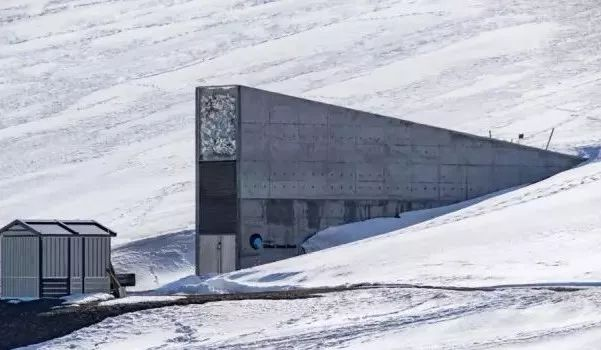 Svalbard: Where Life and Death Are Outlawed - A Journey to the Edge of the World