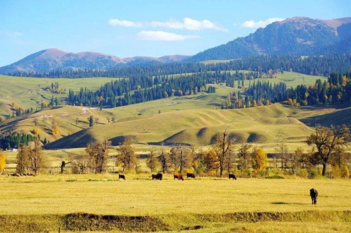 20 Most Beautiful Places to Visit in China: A Journey Through Natural Wonders and Ancient Charm