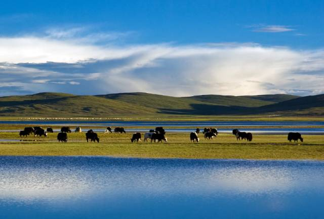 20 Most Beautiful Places to Visit in China: A Journey Through Natural Wonders and Ancient Charm