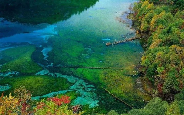 20 Most Beautiful Places to Visit in China: A Journey Through Natural Wonders and Ancient Charm