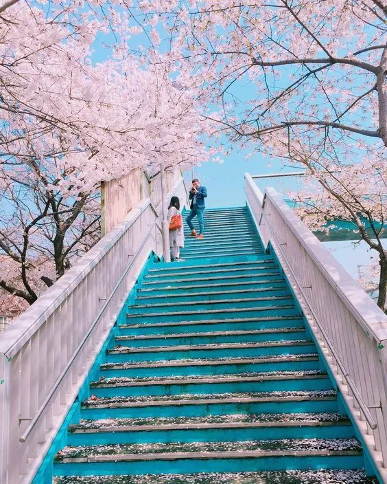 Top 10 Most Livable Cities in the World