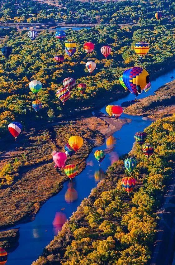 Top 10 Coolest Festivals Around the World: A Guide to Unique Celebrations