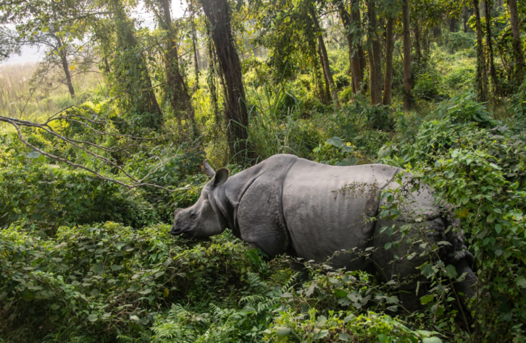 Top 10 Global Travel Destinations You Can't Miss