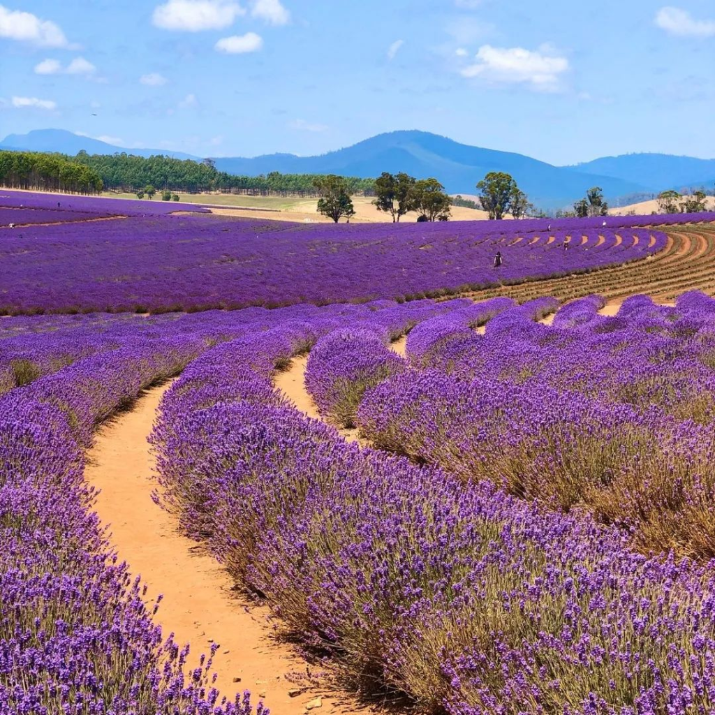 Top 10 Global Travel Destinations You Can't Miss