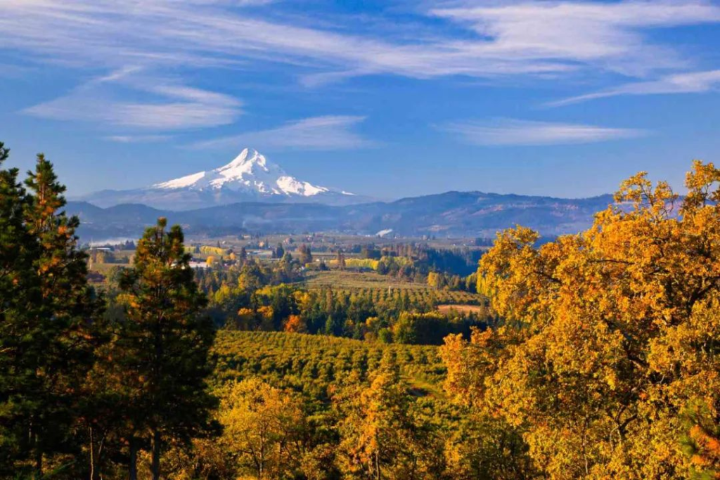 Top 10 Global Travel Destinations You Can't Miss