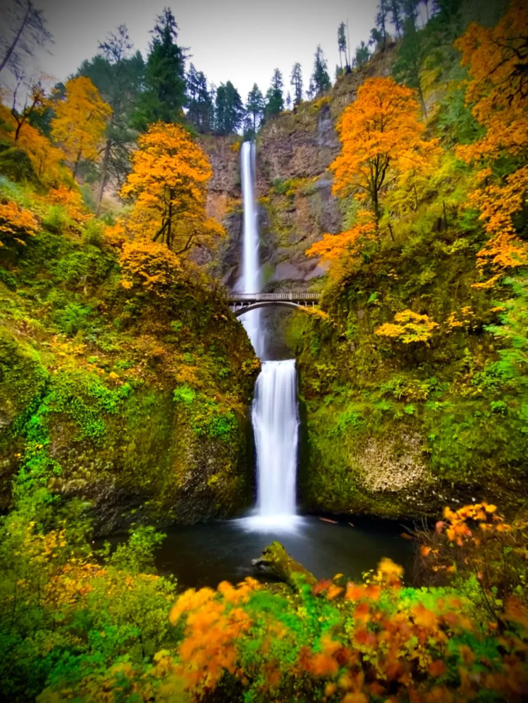 Top 10 Global Travel Destinations You Can't Miss